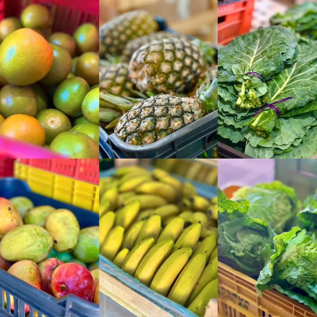 ao de cultiuvMerenda frutas